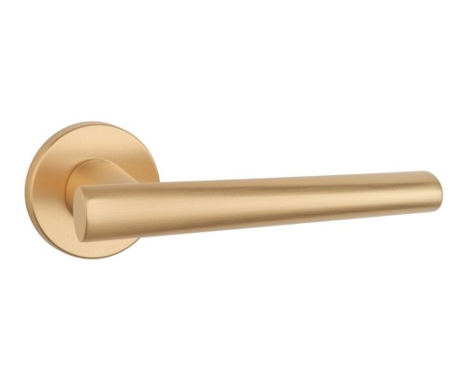 APRILE EUPHORBIA R 7S KG.jpg