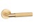 STERK OVAL 1742 PRO 8MM MG.jpg